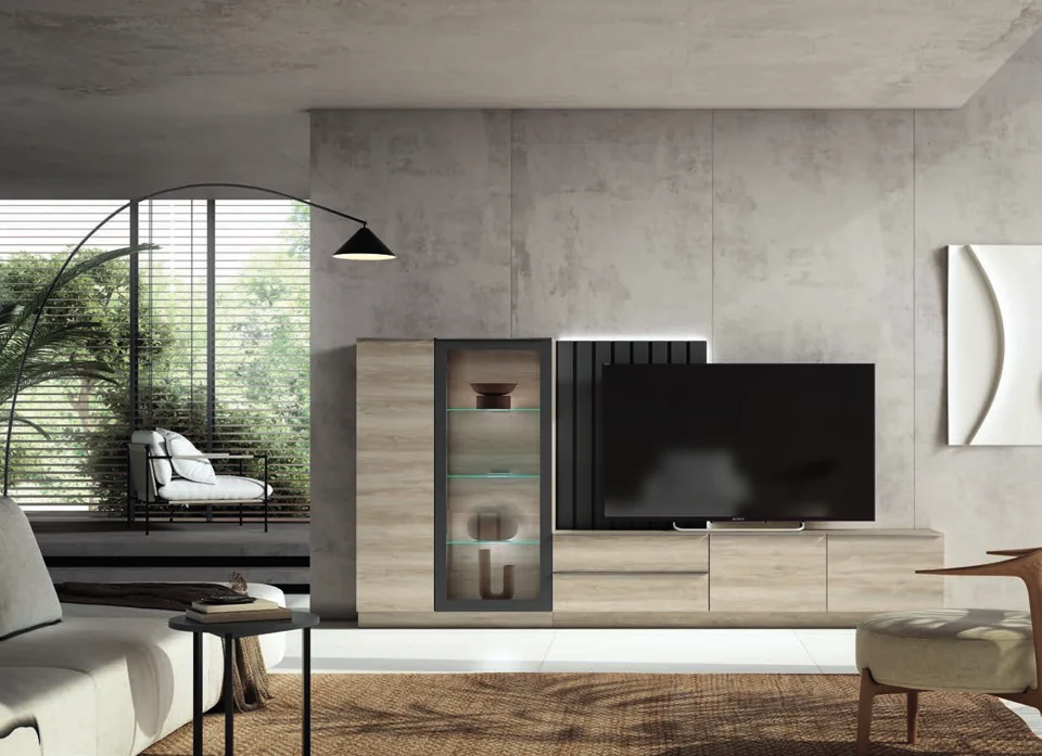 Composición de salón y mueble de televisión