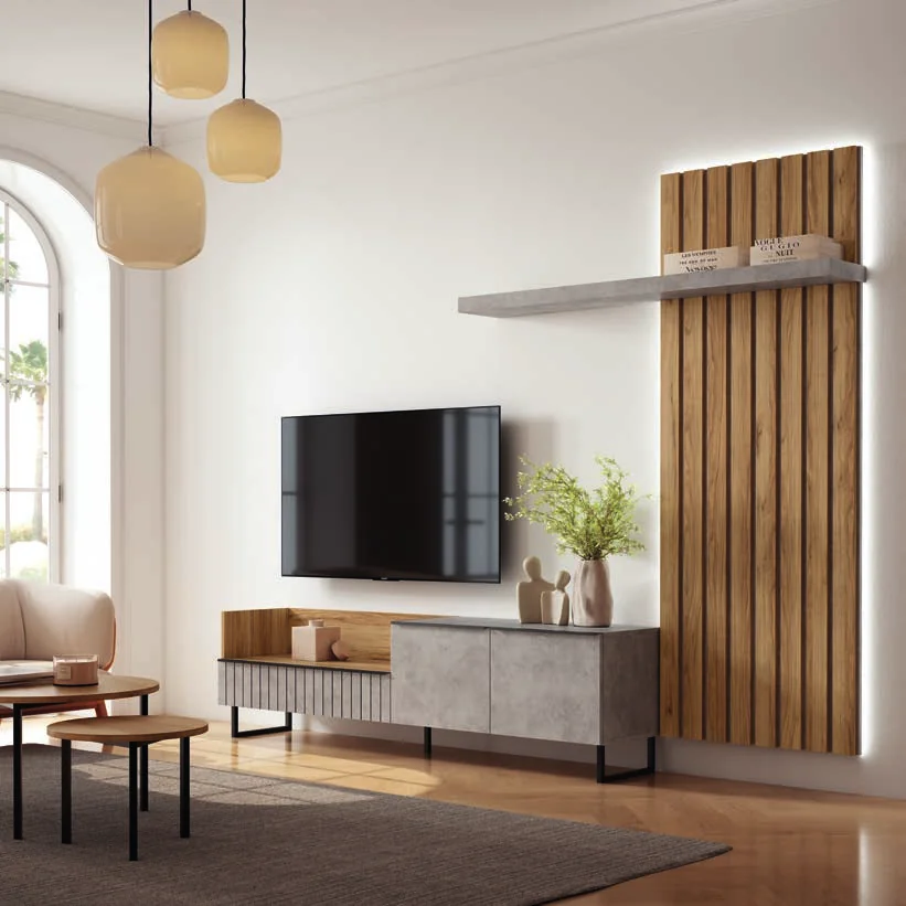 Living room storage and TV furniture