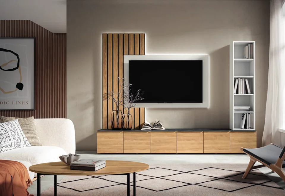 Living room storage and TV furniture