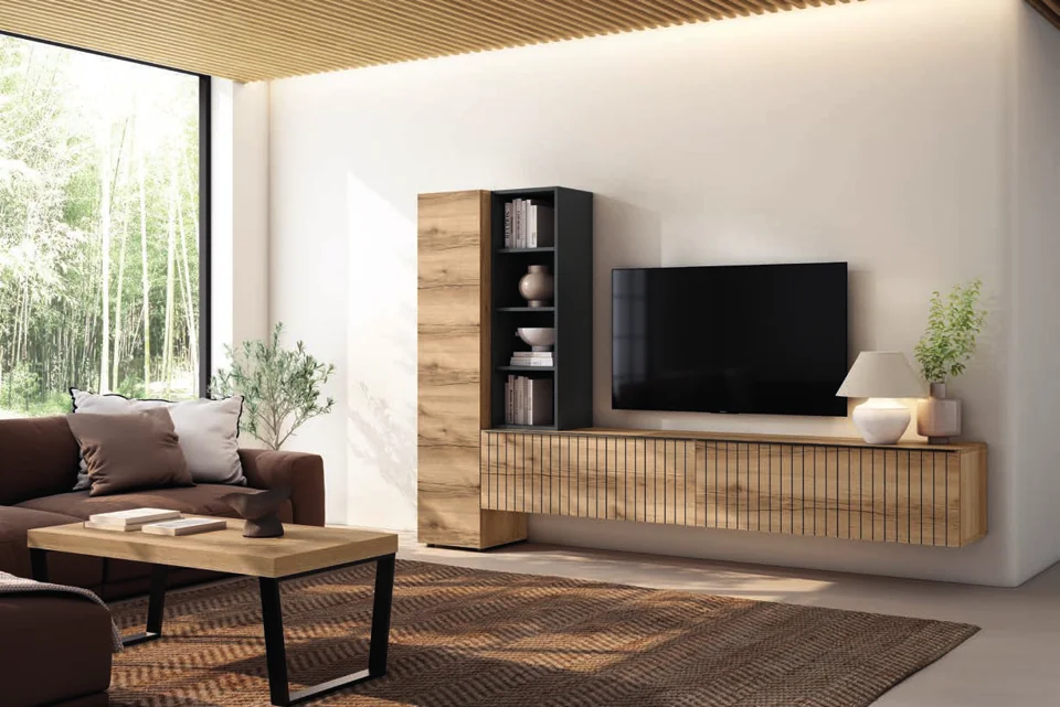 Living room storage and TV furniture