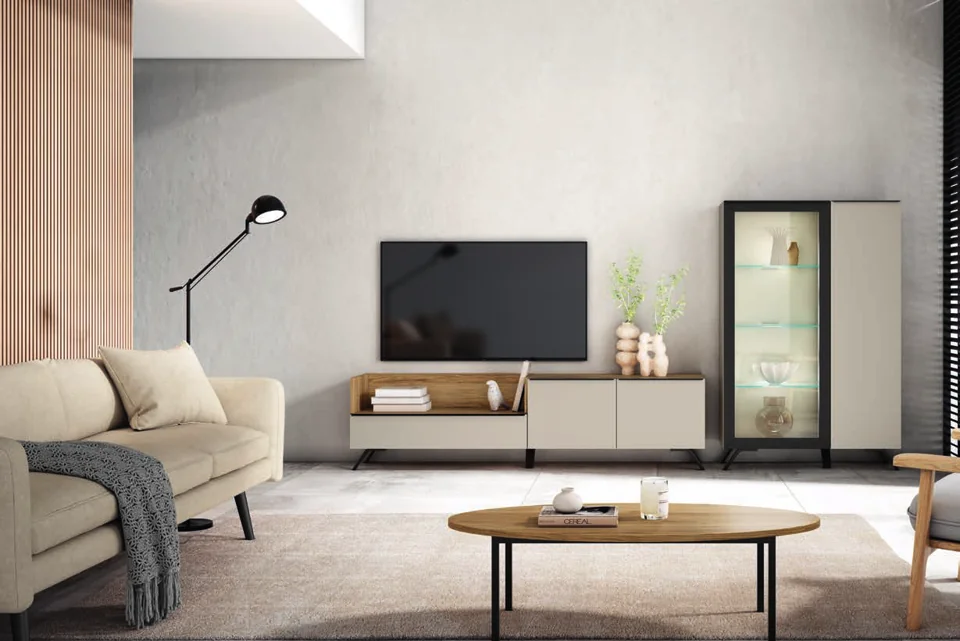 Living room storage and TV furniture