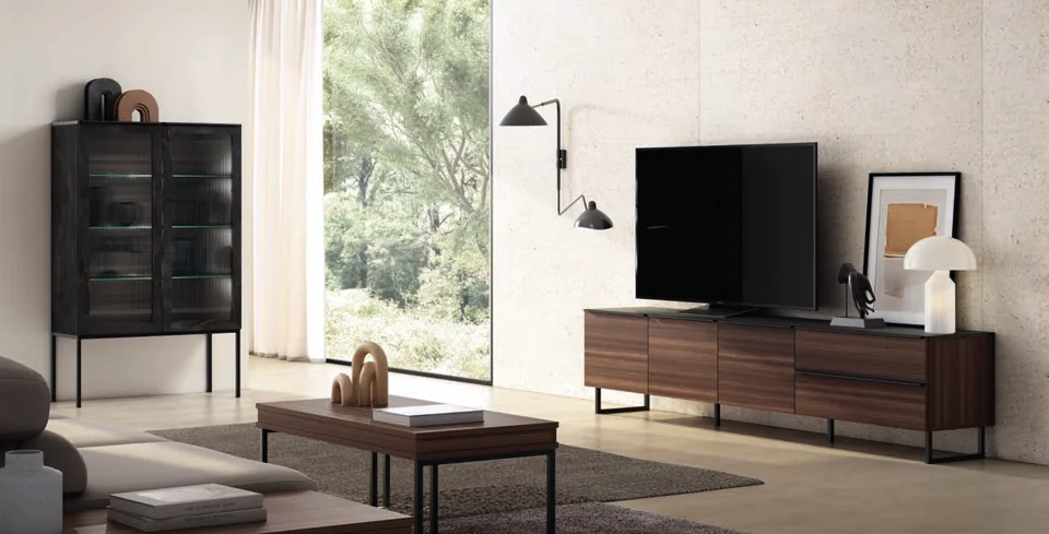 Living room storage and TV furniture