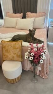 Furnishing for Property Developers & Estate Agents on the Costa del Sol
